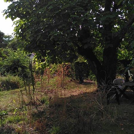 Villa Lulu Mérignac المظهر الخارجي الصورة