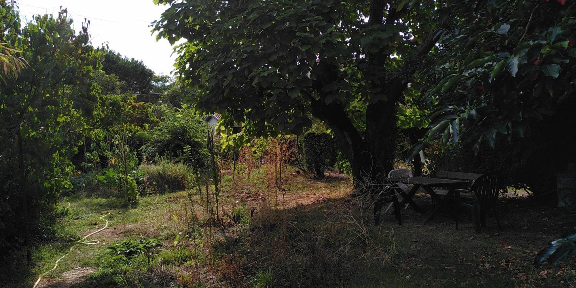 Villa Lulu Mérignac المظهر الخارجي الصورة